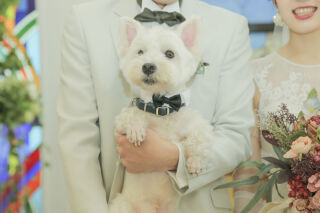 STUDIO AQUA 軽井沢店（スタジオAQUA）_アドバイス写真