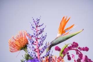 STUDIO TVB なんばパークス店（スタジオTVB）_アドバイス写真