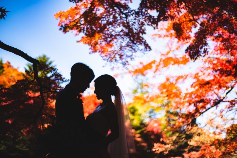 料金重視の方におすすめ_27387_投稿写真_1