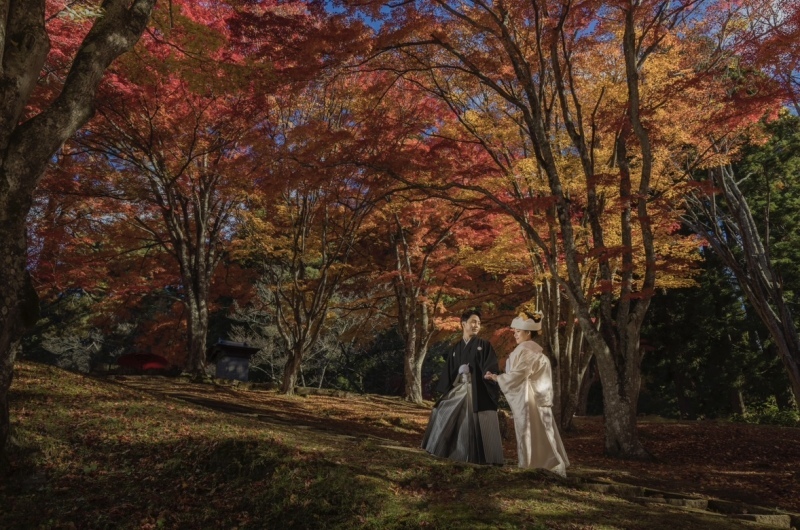 絵画のような芸術的で感動の仕上がり！！ 全国各地で撮影可能！_27402_投稿写真_3