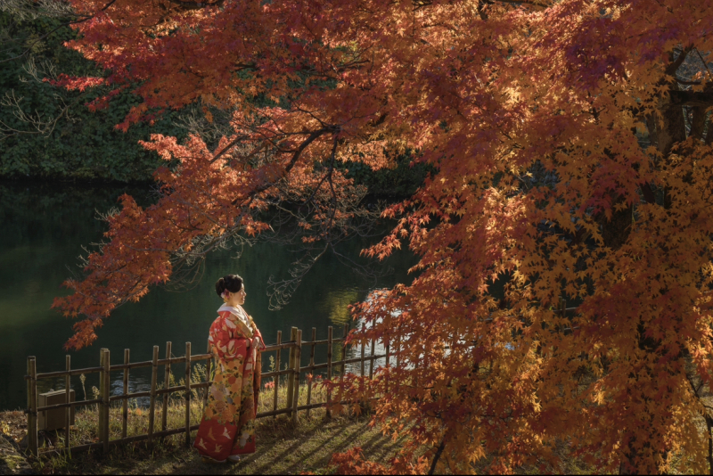 絵画のような芸術的で感動の仕上がり！！ 全国各地で撮影可能！_27402_投稿写真_1