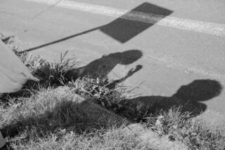 STUDIO SOLA 美瑛店（スタジオSOLA）_アドバイス写真