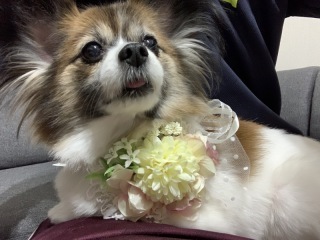 ラヴィファクトリー新潟店_アドバイス写真