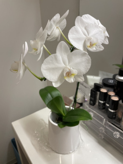 STUDIO TVB 神戸ハーバーランド店（スタジオTVB）_アドバイス写真