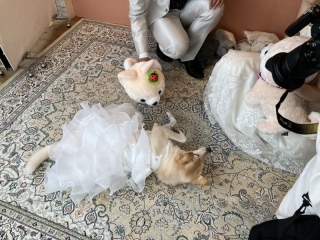 阿部写真館　大阪本町靭公園前店_アドバイス写真