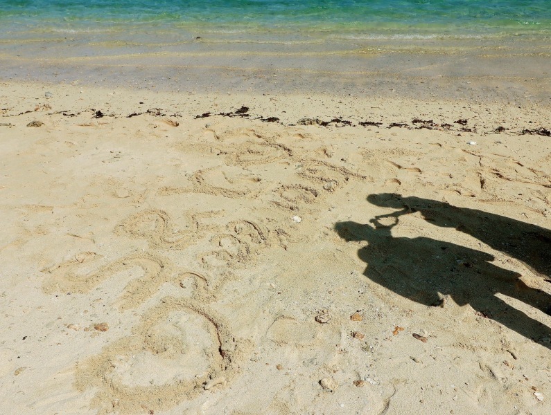 【コスパ最高】海と空が気持ちいいロケーション撮影！_27766_投稿写真_2