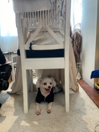 阿部写真館　大阪本町靭公園前店_アドバイス写真