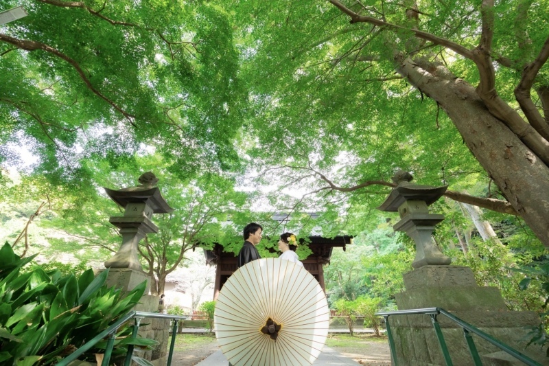 華雅苑　鎌倉店_投稿写真