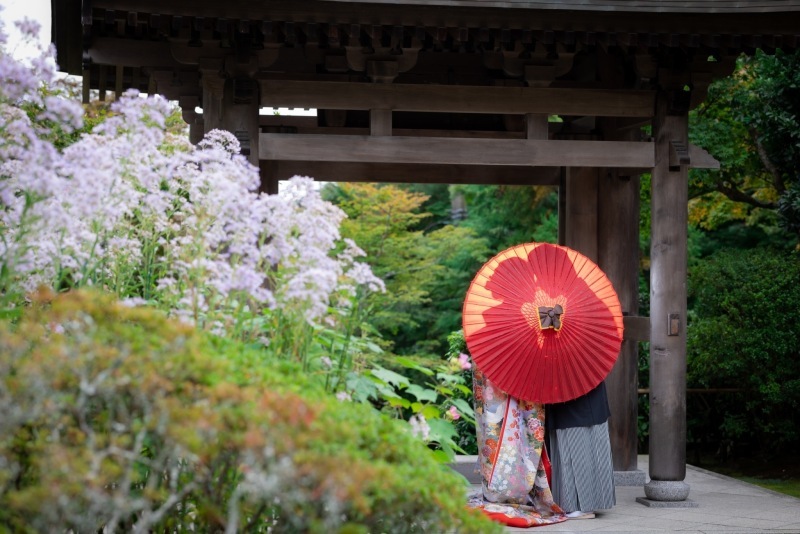 華雅苑　鎌倉店_投稿写真