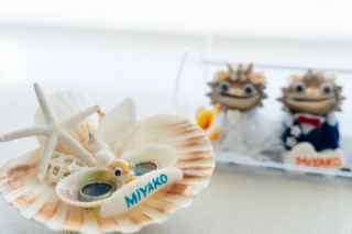 capryフォトウェディング宮古島（キャプリィフォトウェディング宮古島）_アドバイス写真