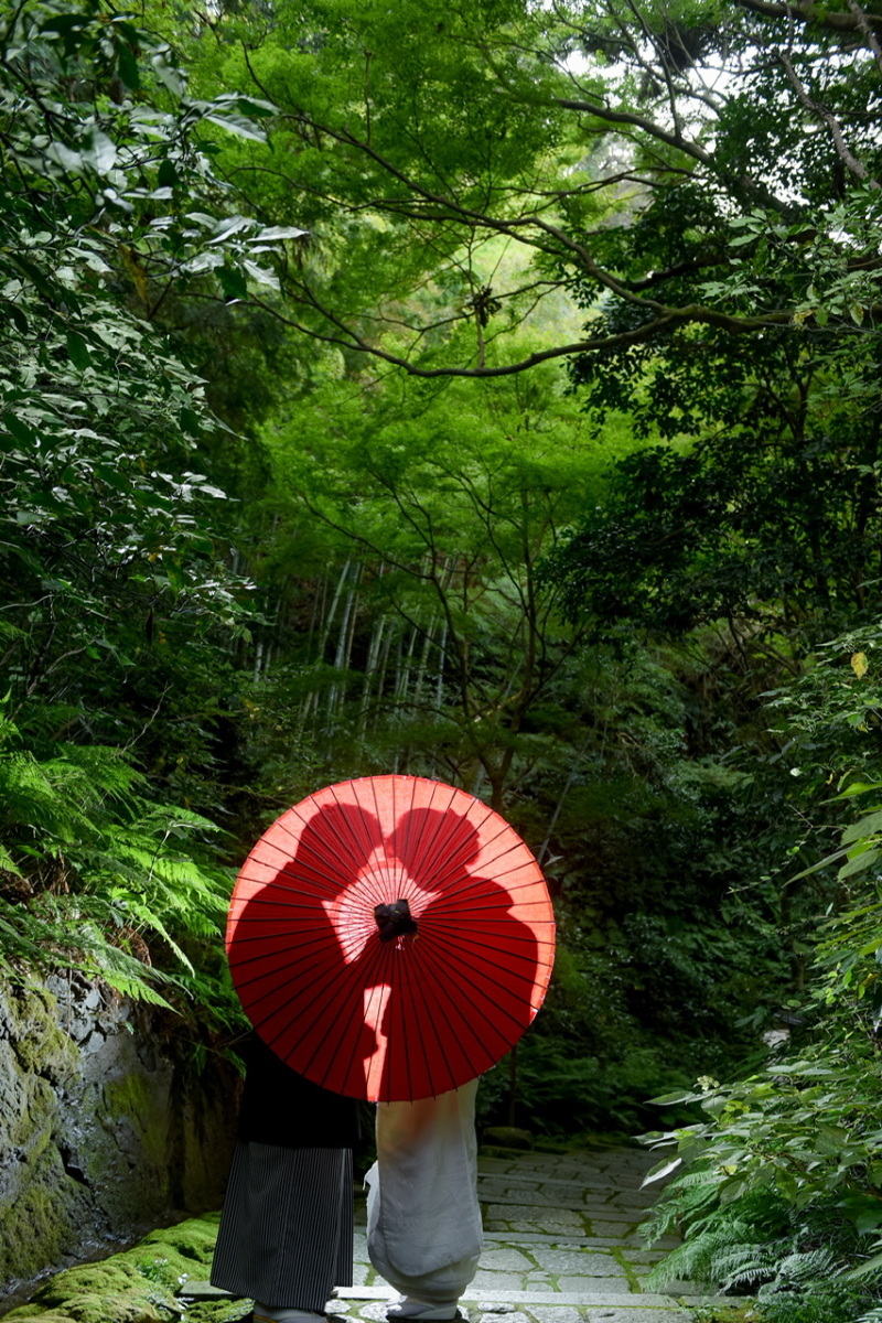 華雅苑　鎌倉店_投稿写真