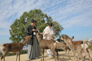 STUDIO TVB 奈良店（スタジオTVB）_アドバイス写真