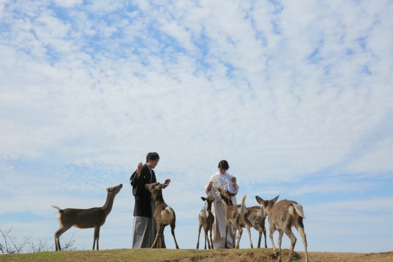 可愛い鹿と絶景をバックに撮影できるロケーション撮影_28078_投稿写真_1