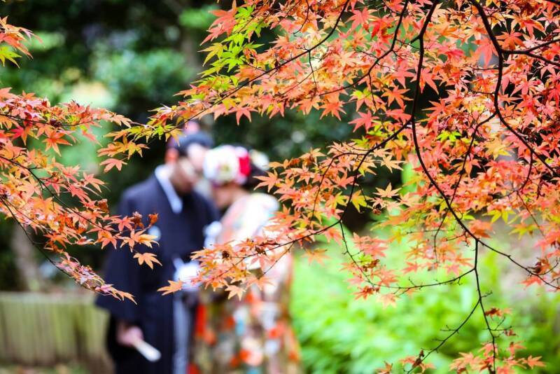 天気が生憎でも素敵な庭園で貸切並みに撮影ができた◎_28223_投稿写真_2