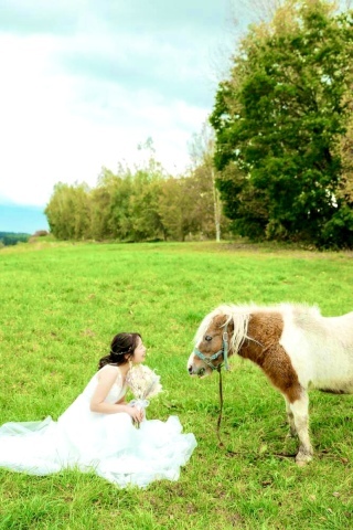 STUDIO SOLA 美瑛店（スタジオSOLA）_アドバイス写真