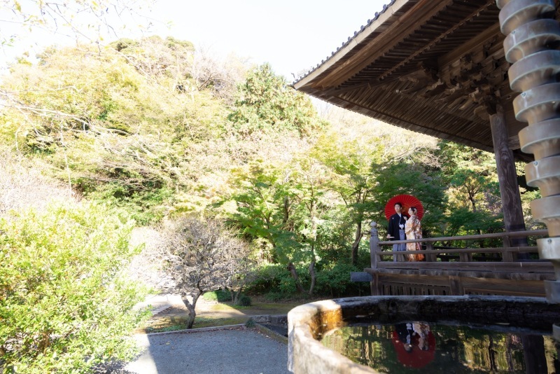 華雅苑　鎌倉店_投稿写真