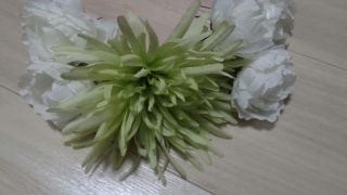 名古屋フォトウェディングcarpediem（カルぺディエム）_アドバイス写真