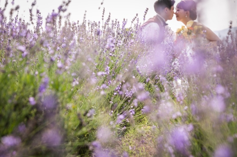 北海道の雄大な景色でのロケーションフォト_34799_投稿写真_1