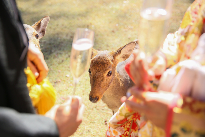 撮影地元に詳しくも安心のスタジオ_28766_投稿写真_2