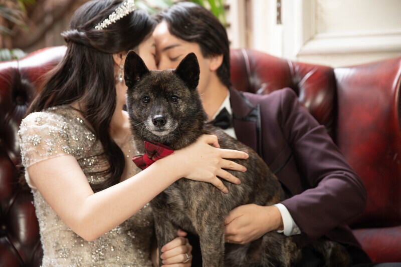 studio FTS_投稿写真