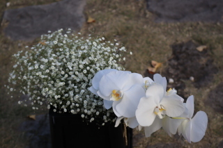 ブライダルアトリエラ・ドゥー【La・Doux】_アドバイス写真