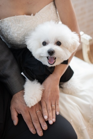 阿部写真館　大阪本町靭公園前店_アドバイス写真