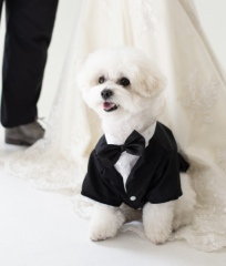 阿部写真館　大阪本町靭公園前店_アドバイス写真