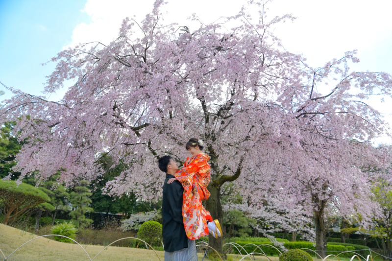 和装にぴったりの庭園撮影！_30820_投稿写真_1