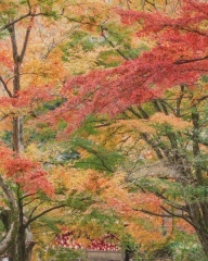 STUDIO TVB 梅田店（スタジオTVB）_アドバイス写真