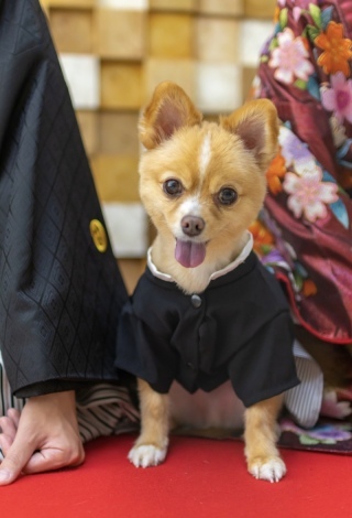 Rita closet・Rita Photo_アドバイス写真