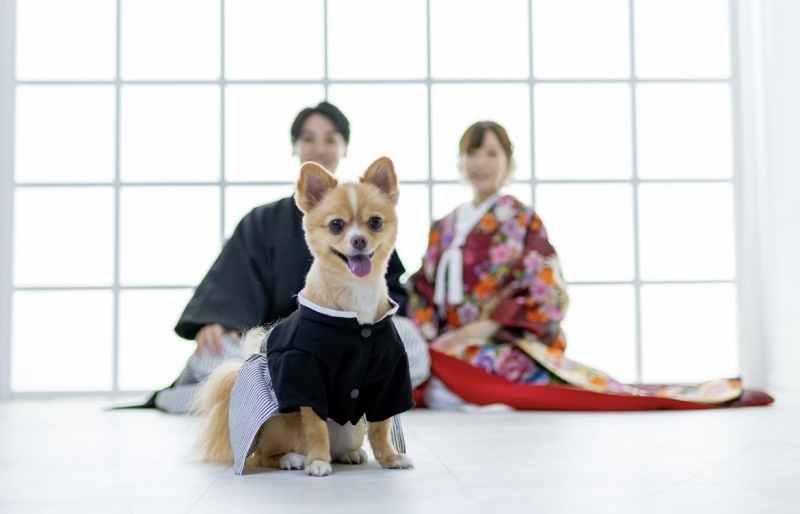 Rita closet・Rita Photo_投稿写真