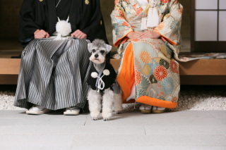 STUDIO AQUA 浅草店（スタジオAQUA）_アドバイス写真