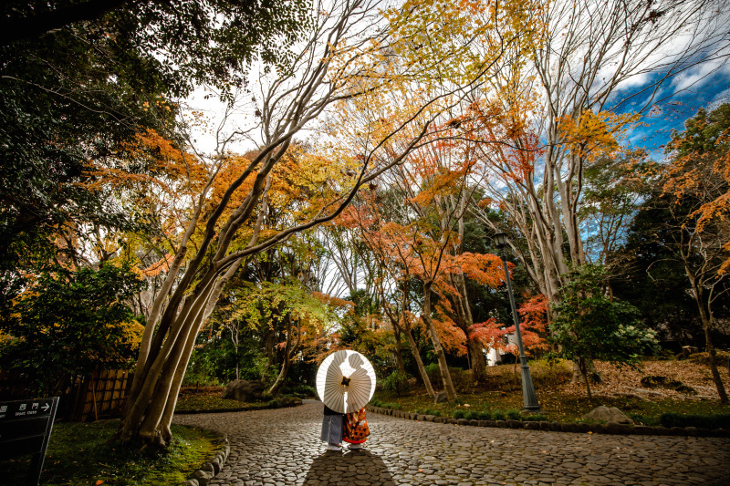 和装に合う！栃木県中央公園など庭園での撮影が可能_29046_投稿写真_2