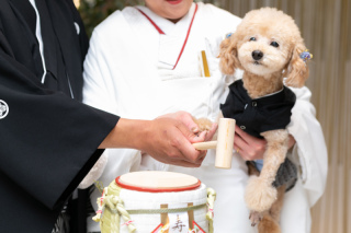 小さな結婚式 岡山店_アドバイス写真