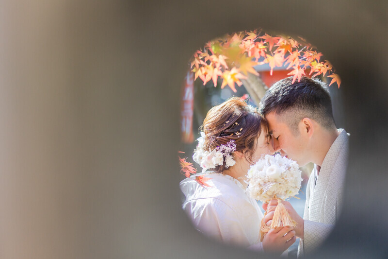 京都 あざらし堂 ー写真部ー_投稿写真