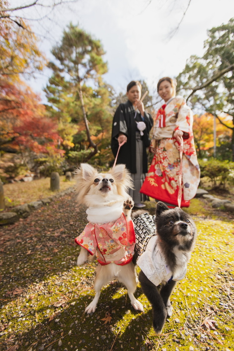 京都町家寫眞館 ～KYOTO MACHIYA STUDIO～_投稿写真