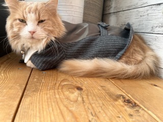 阿部写真館　大阪本町靭公園前店_アドバイス写真