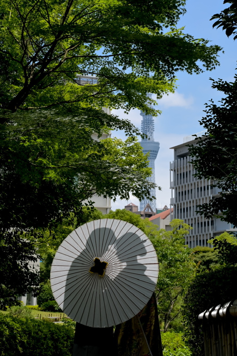 華雅苑 銀座店_投稿写真