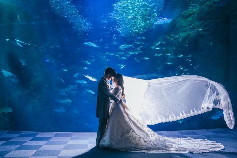 Jheart 江ノ島（ジェイハート エノシマ）_投稿写真