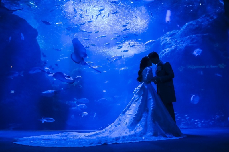 Jheart 江ノ島（ジェイハート エノシマ）_投稿写真