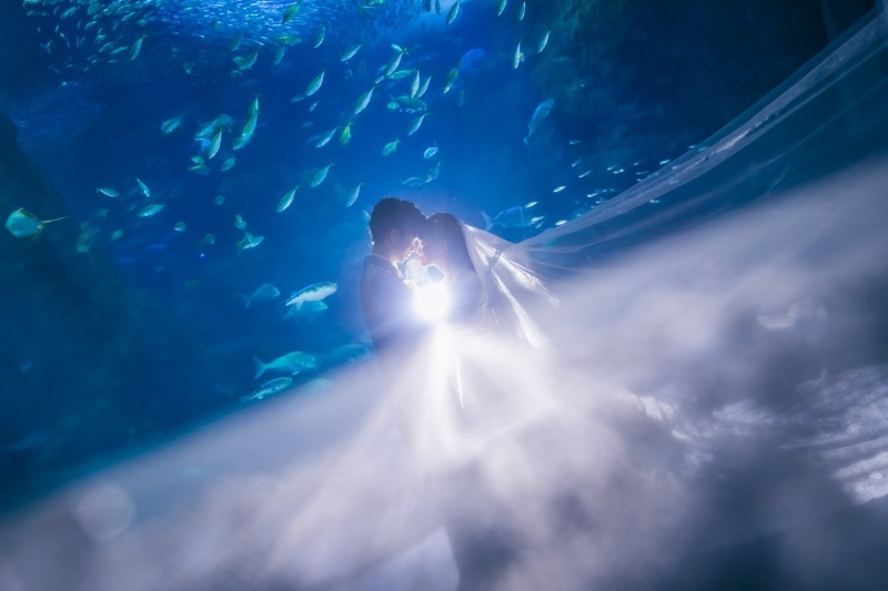 Jheart 江ノ島（ジェイハート エノシマ）_投稿写真