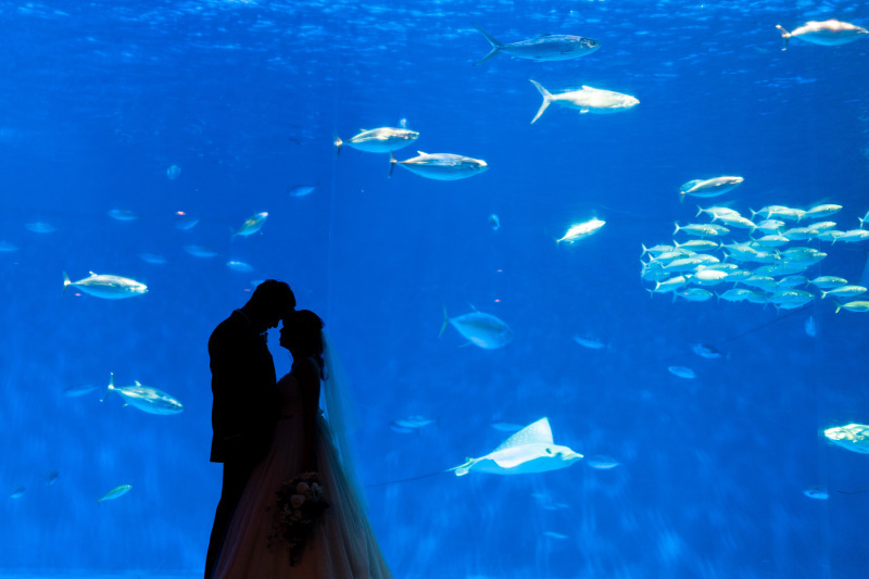 カンマチスタジオ_投稿写真