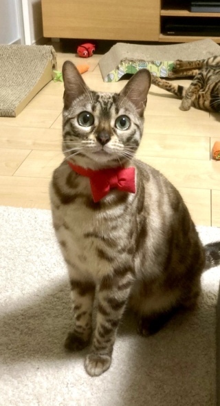 らかんスタジオ立川店_アドバイス写真