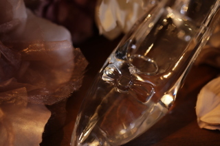 studio LUMINOUS お台場_アドバイス写真