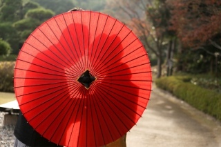 華雅苑　千葉店_アドバイス写真