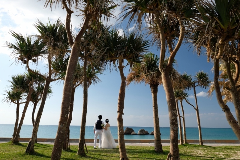 Photo Ciel Bleu_投稿写真