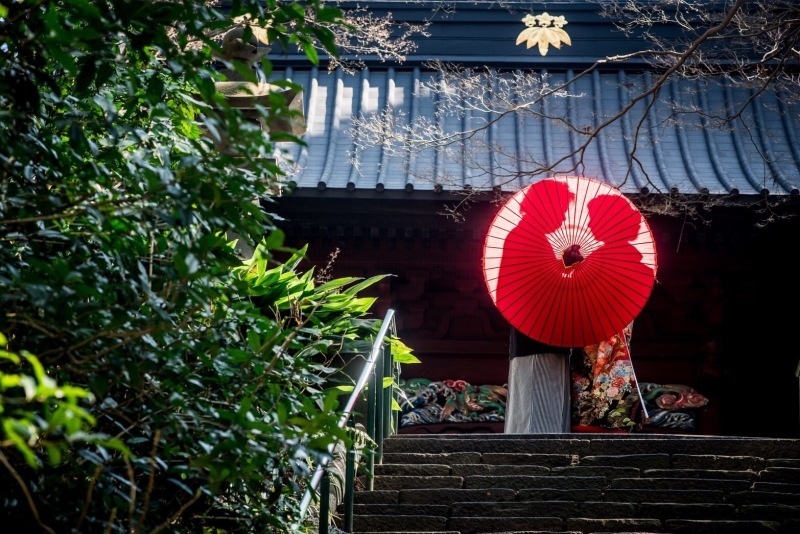 華雅苑　鎌倉店_投稿写真