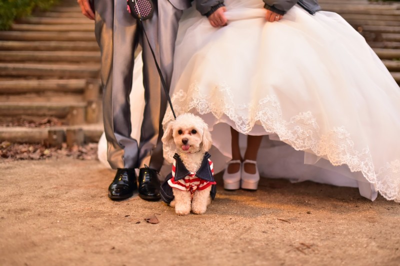 CLAIRE心斎橋店【営業終了】_投稿写真