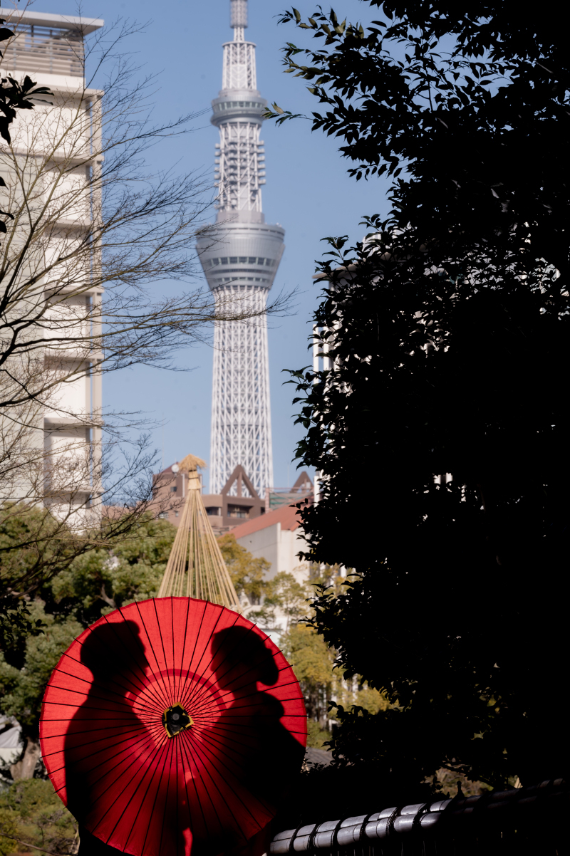 華雅苑　浅草橋本店 _投稿写真