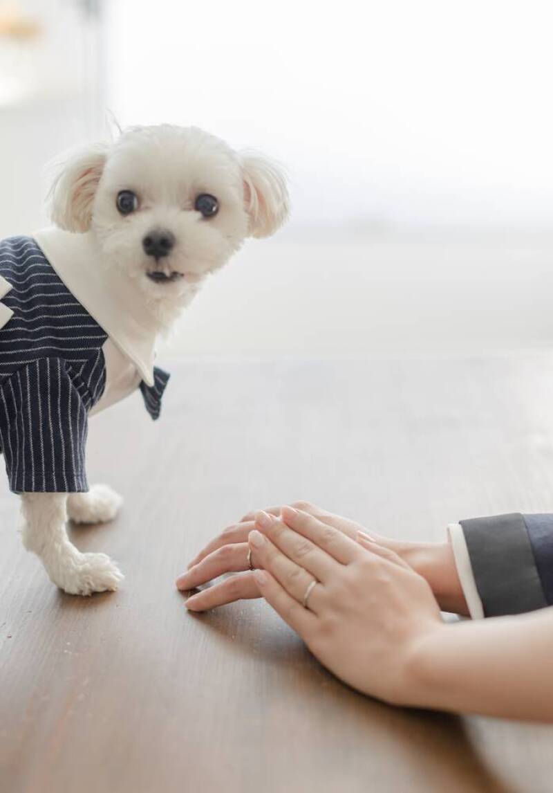 STUDIO TVB 梅田店（スタジオTVB）_投稿写真